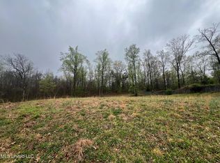 10117 Emerald Forest Dr #33, Hernando, MS 38632