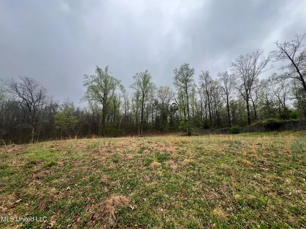 10117 Emerald Forest Dr #33, Hernando, MS 38632