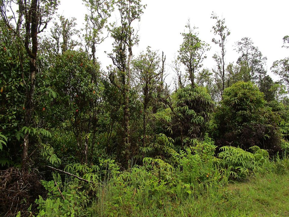 2nd image of Wailele St Lot 39