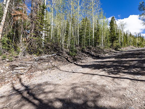 5th image of 29 S Ponderosa Dr