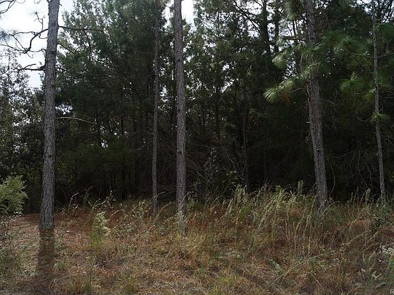 5th image of 5263 N Cliff Dr