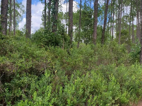 122 E MARION Street, Palatka, FL 32177