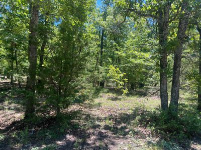 Cr 164 Round Robin Lane, Theodosia, MO, 65761