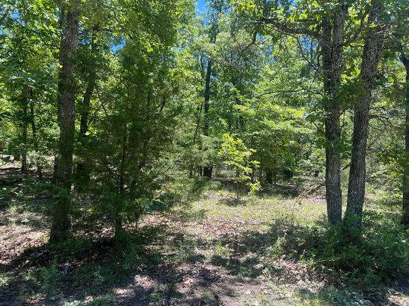 Cr 164 Round Robin Lane, Theodosia, AR 65761
