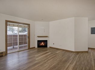 9101 Elk Ln #9101, Basalt, CO 81621