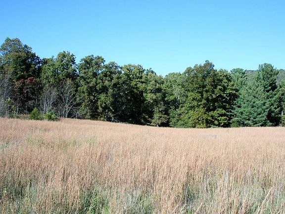 5th image of 0 Pine Dale Dr #6