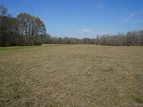 5th image of 11540 Hobbie Rd