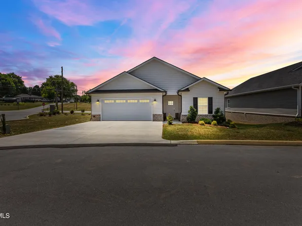 11 Palmetto Ct, Gray, TN 37615