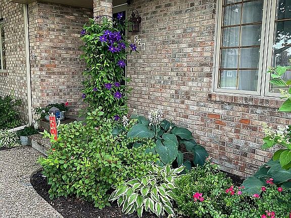 Something is always blooming