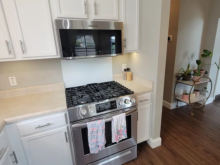 15029 Valerian Tea Dr — Photo 10
