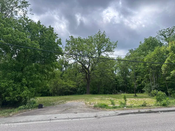2735 W Walnut St, Johnson City, TN 37604