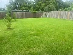 3538 Palm Grove Dr — Photo 11