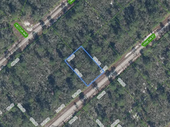 3535 Venetia St Lot 7, Lake Placid, FL 33852