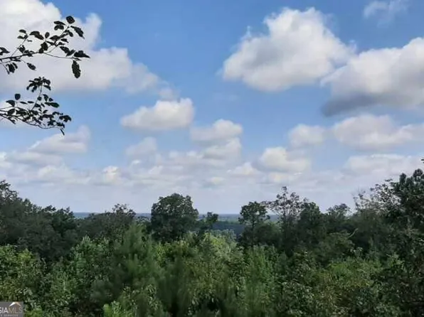 0 Walker Rd, Meansville, GA 30256