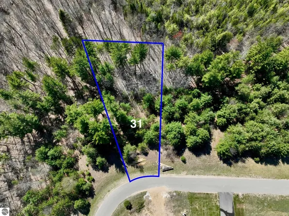 6393 Jeffrey Pl Lot 31, Grawn, MI 49637