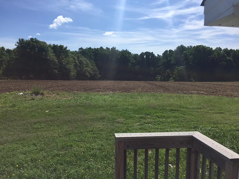 Land - 10 Acres (Part of the property, but being cultivated