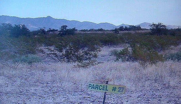 Primarily flat desert shrub