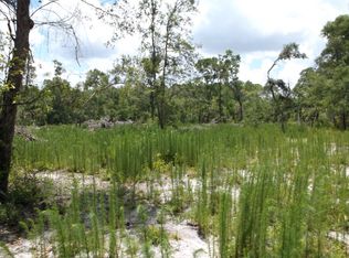 4.8 Acre NE #542, Old Town, FL 32680