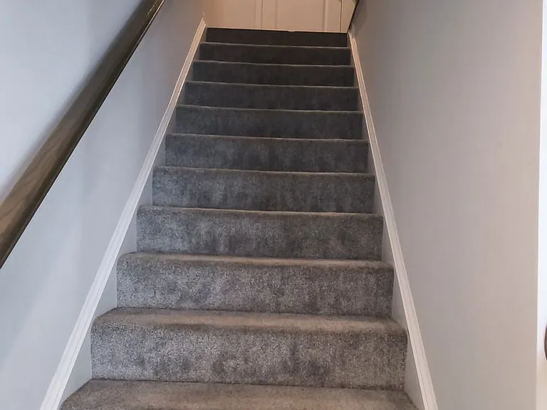 8129 Wistar Creek Mews #B — Photo 10