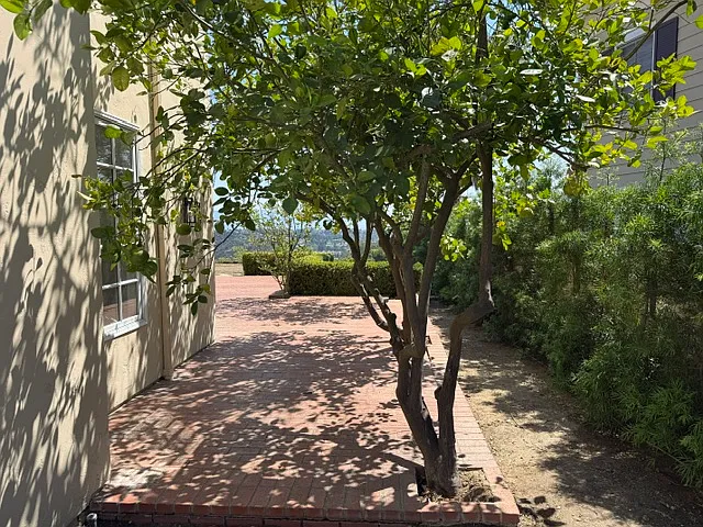 2222 Canyonback Rd — Photo 17