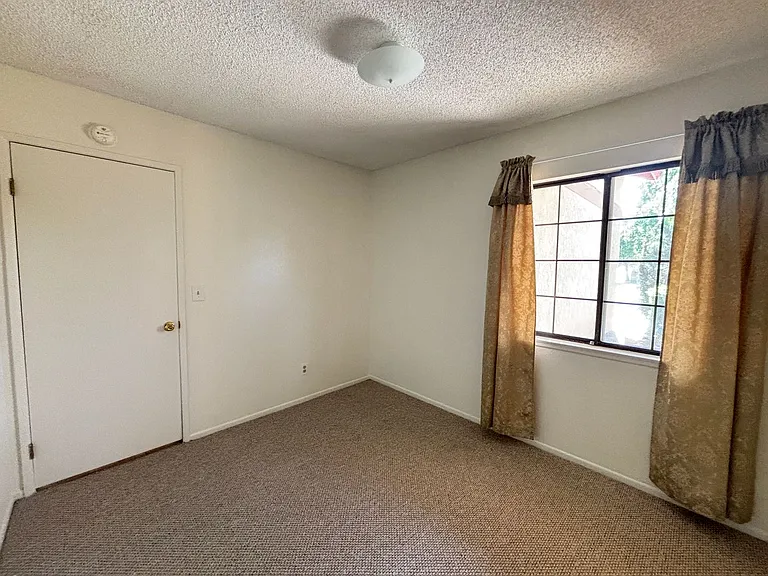 43658 Rogier St — Photo 23