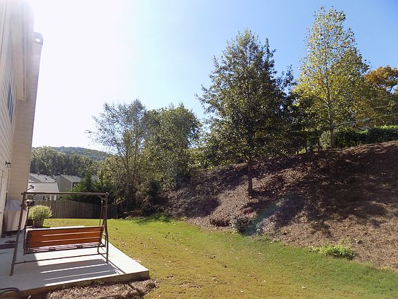 Backyard!