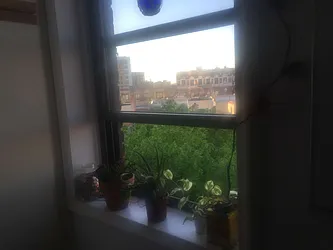 Rented by Geraldine Capasso, LREB