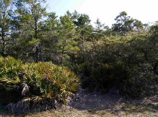 1374 Chip Morrison Dr UNIT 6, Panacea, FL 32346