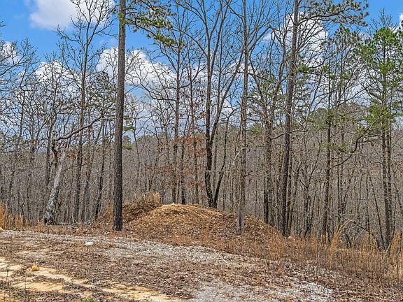 5th image of 467 Timberline Road