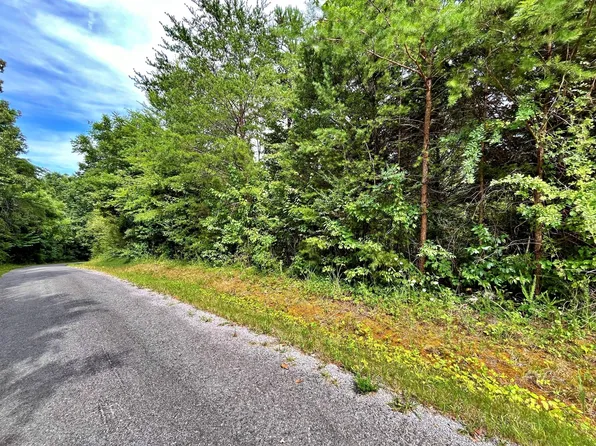 0 Ivy Moore Cir, Decatur, TN 37322