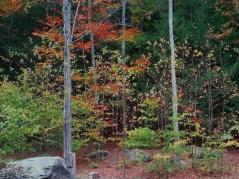 390 Erpf Rd #2W — Photo 35