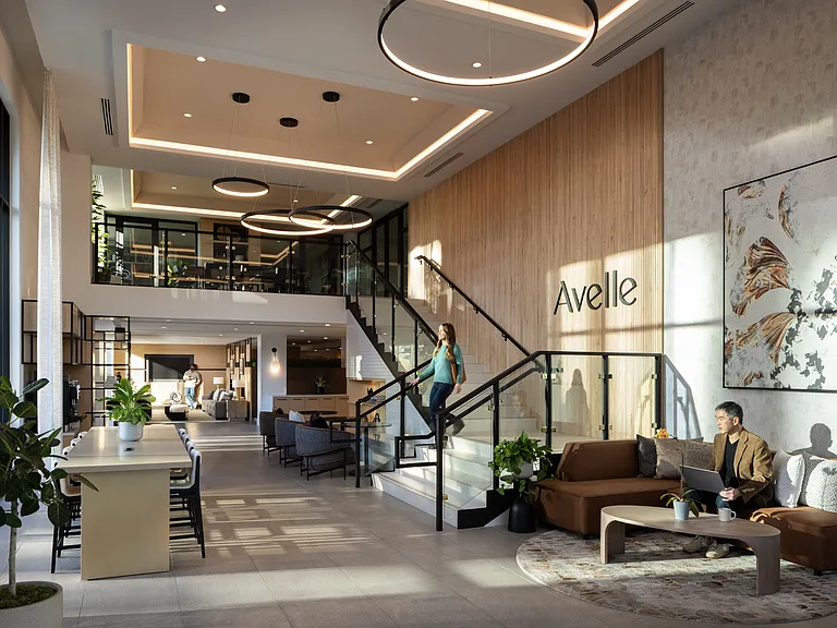 Avelle — Photo 19
