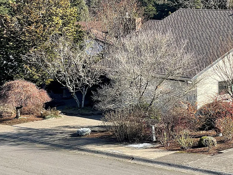 2418 Saddle Ct — Photo 14