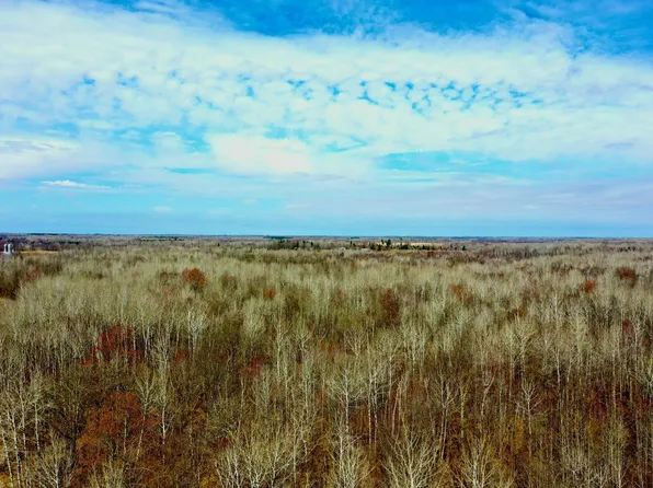 Na Na Mallard Rd, Brook Park, MN 55007