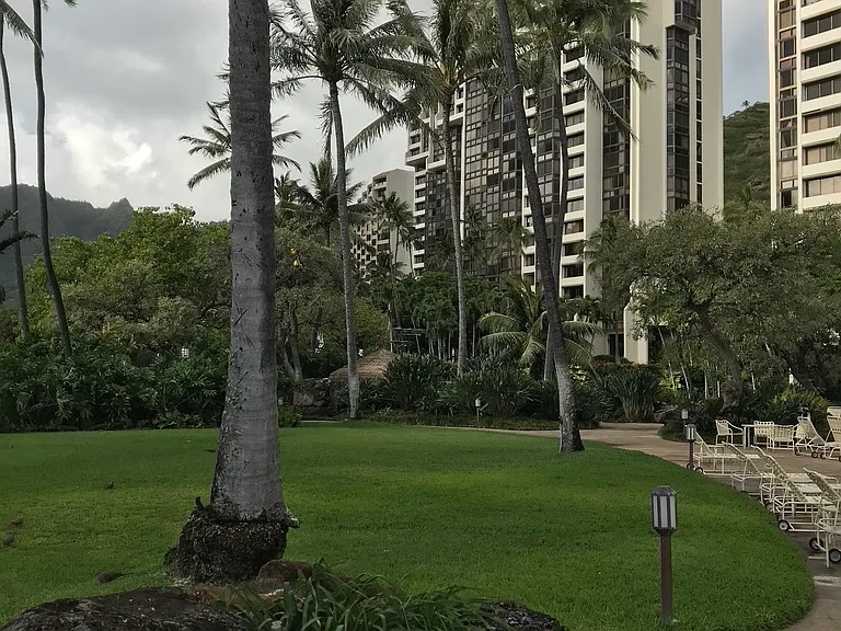 501 Hahaione St #11 — Photo 17