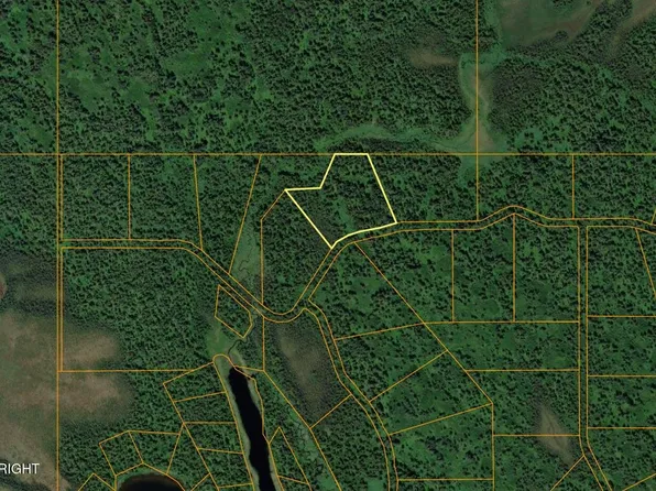 L5 B Anderson Crk #1, Skwentna, AK 99667