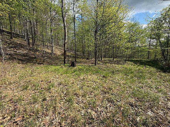 5th image of Quinnwood Ln