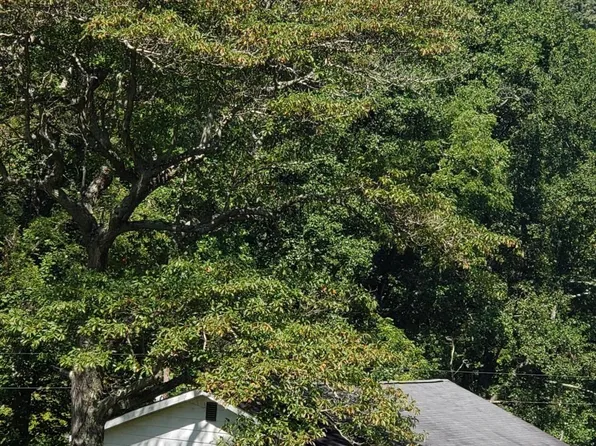 299 Shown Hollow Rd, Jacksboro, TN 37757