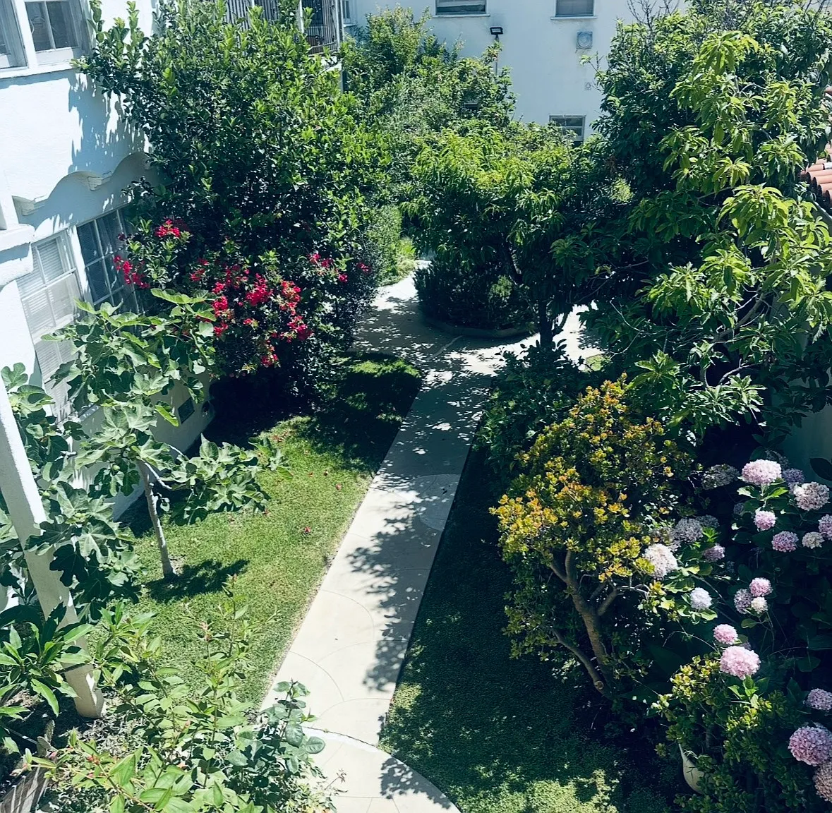 Studio, 500 sqft, $2,100 — Photo 3
