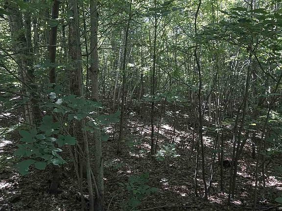 5th image of State Park Hwy