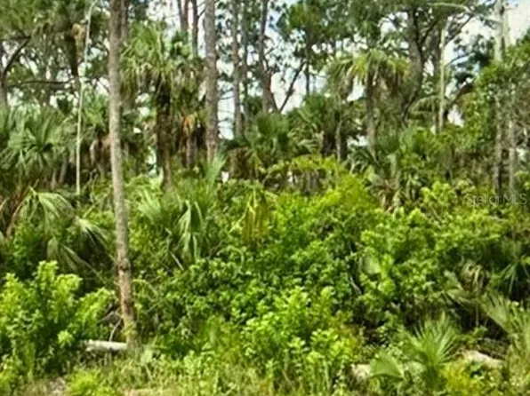 625 Greenbriar Blvd Lot 5, Lehigh Acres, FL 33972