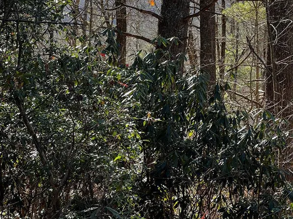 21 Wildcat Lane, Cashiers, NC 28717