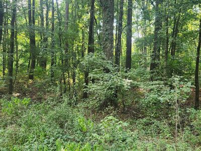 0 Joel Rd, Star City, AR, 71667