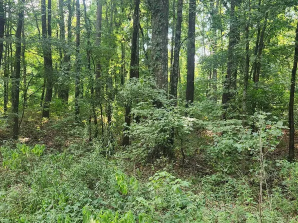 0 Joel Rd, Star City, AR 71667