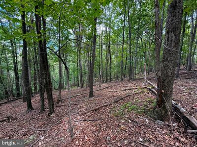 LOT-18B Wits End, Mathias, WV, 26812