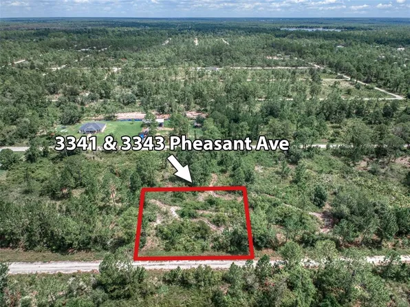 3341 & 3343 Pheasant Ave W Lot 28, Lake Placid, FL 33852