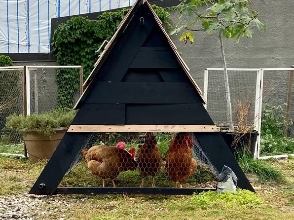 170 Tillary Street image 6 of 8