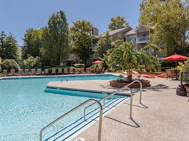 Sparkling Swimming Pool
