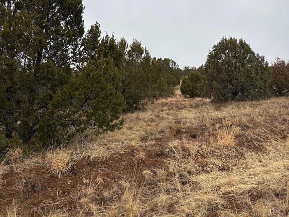 3rd image of 90 Jesse James Rd