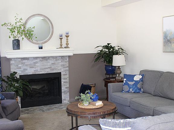 Electric fireplace insert.